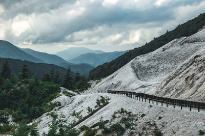 Akita - japan