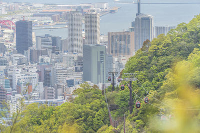 Trees and buildings in city
