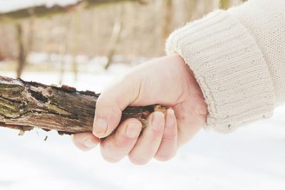 Close-up of woman hand holding wood