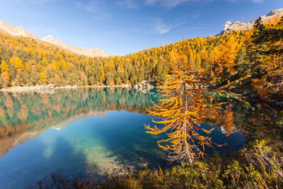 Scenic view of lake against sky during autumn