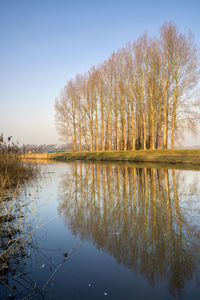 Reflection of trees in lake against sky