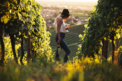 Side view of woman holding wineglass in vineyard