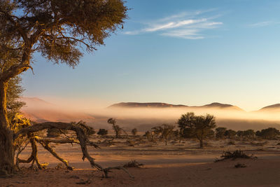 Scenic view of landscape against sky during sunset