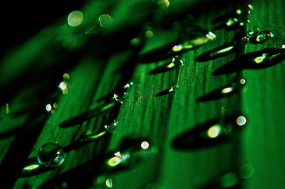 Full frame shot of leaf