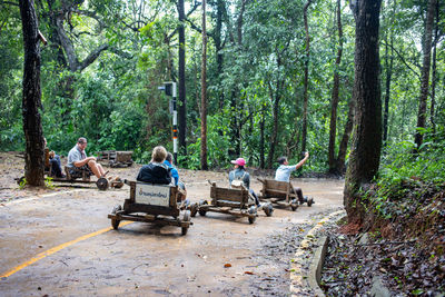 People sitting on footpath in forest