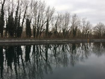 Reflection of trees in lake against sky