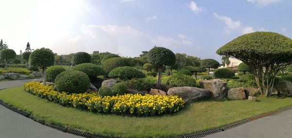 Panoramic view of flowers and trees against sky