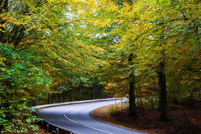 Road amidst trees in forest during autumn