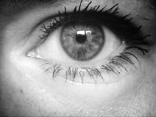 human eye