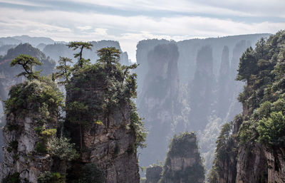 Panoramic view of trees and rocks against sky