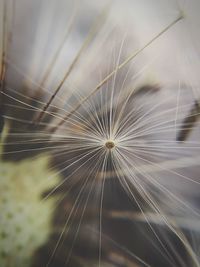 motion