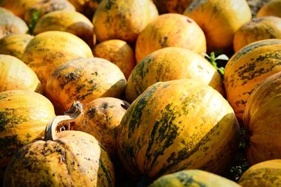 Full frame shot of pumpkins for sale at market stall