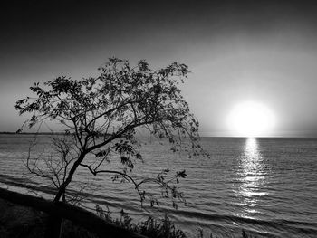 Silhouette tree by sea against clear sky