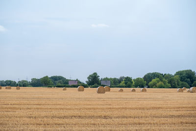 Hay bales on field against sky