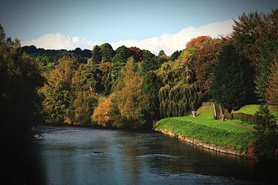 Trees by calm lake in park against sky