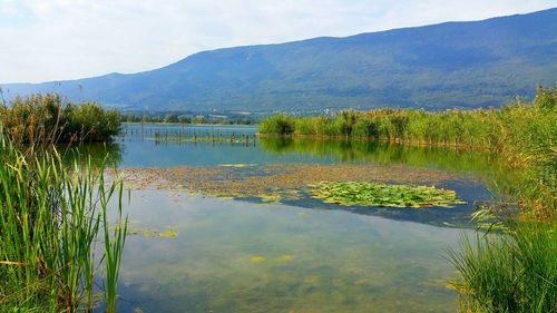 Scenic view of lake against sky