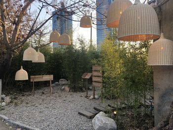 Plants and chairs on table by tree