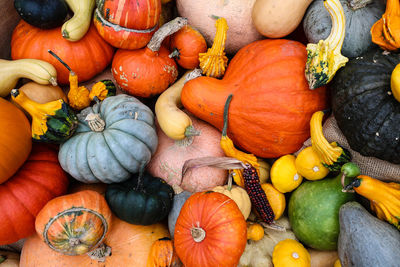 Full frame shot of pumpkins in market