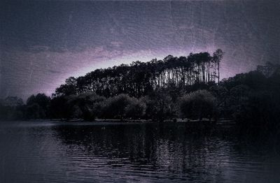 Silhouette trees by lake against sky at night