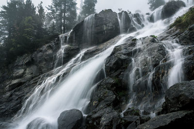 Scenic view of waterfall in forest