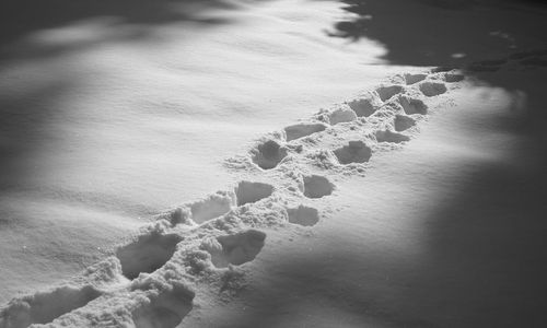 Close-up of snow