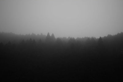 Trees against sky during foggy weather