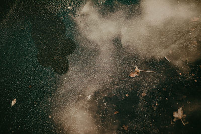 Reflection of person on puddle