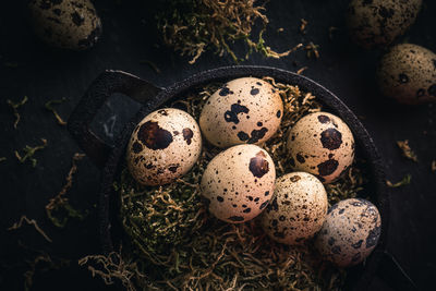 High angle view of quail eggs