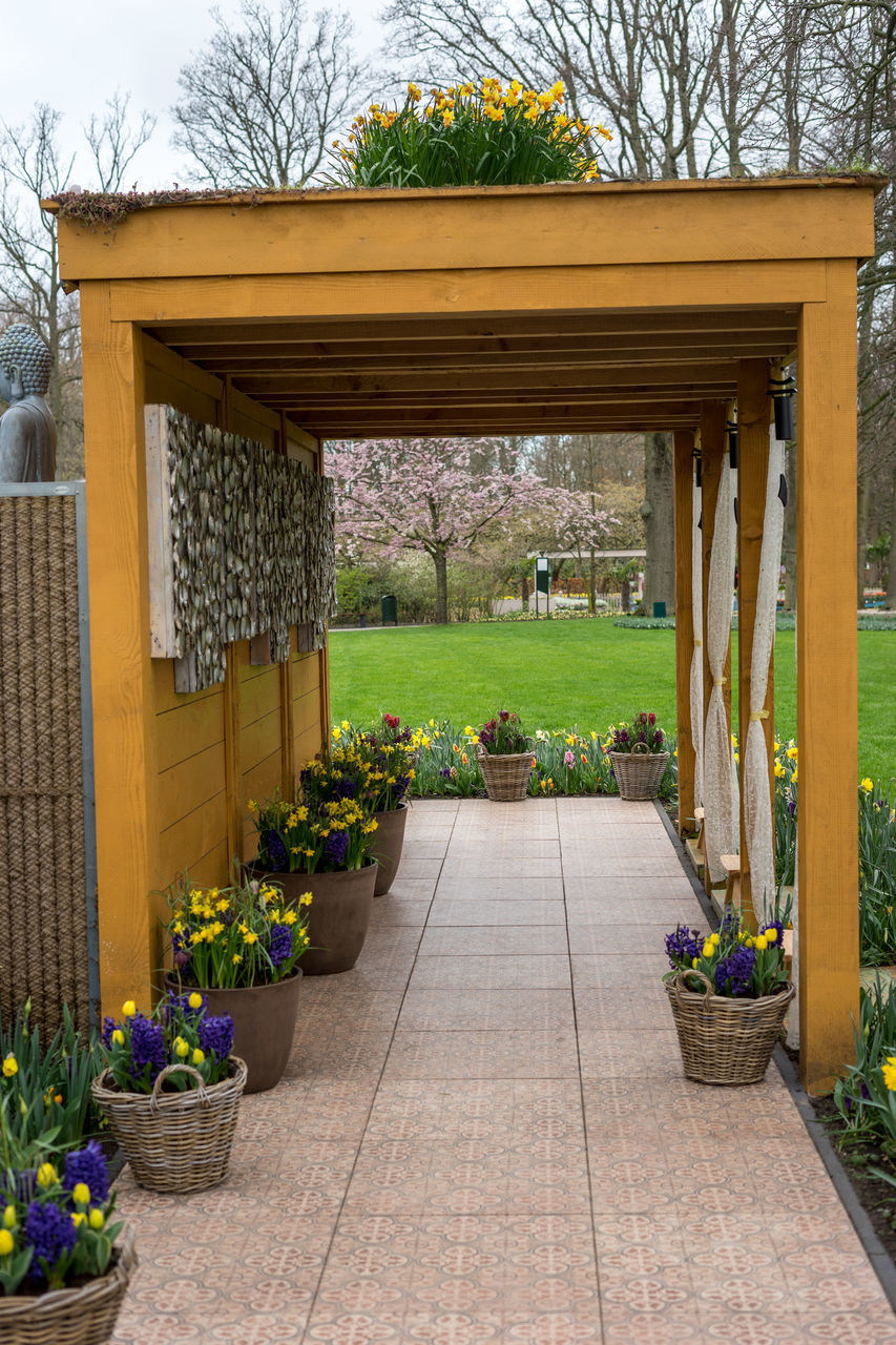 ENTRANCE OF BUILDING WITH PLANTS