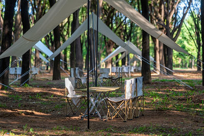 Rear view of woman sitting on hammock