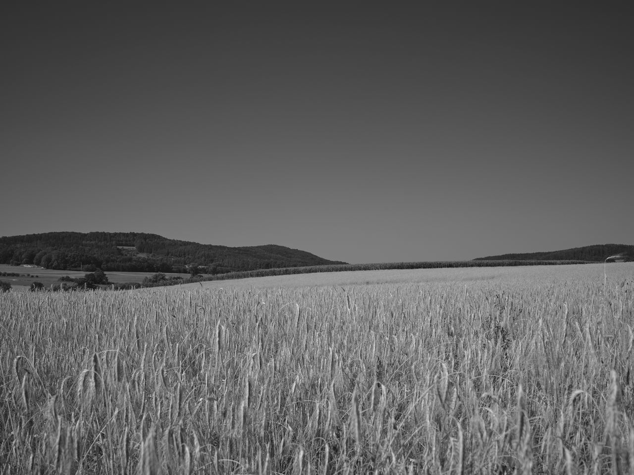 SCENIC VIEW OF LAND AGAINST SKY