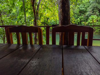Empty benches against trees