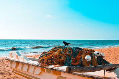 Bird with nets on boat at beach