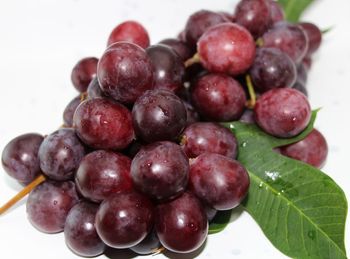 Close-up of cherries