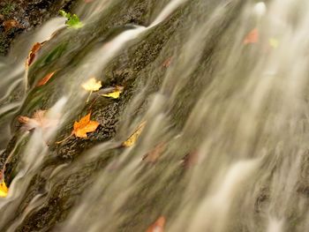 Full frame shot of water flowing on field