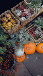 High angle view of pumpkin for sale in market