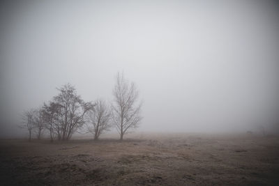 Bare trees on field against sky during foggy weather