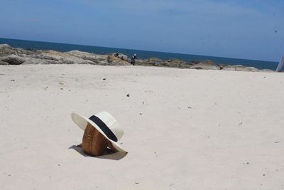 View of horse on beach against sky