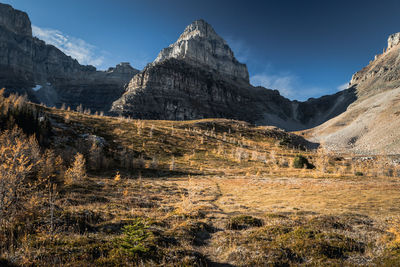 Path to the mountain