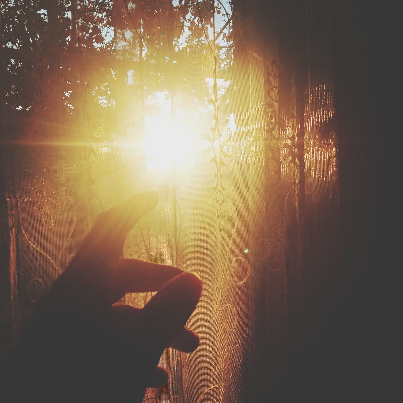 sunlight, light, one person, morning, hand, darkness, nature, tree, plant, sun, lens flare, sunbeam, reflection, lifestyles, silhouette, back lit, backlighting, outdoors, leisure activity, adult, day, sky, holding, yellow, finger