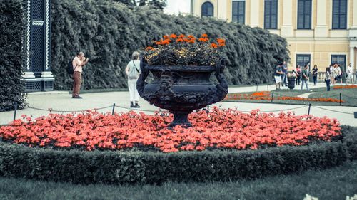 View of flowering plants by water