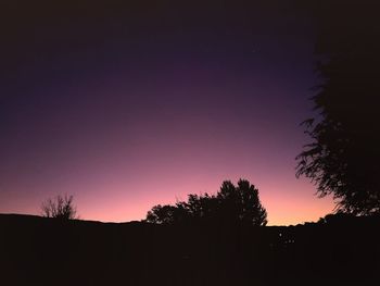 Silhouette trees against clear sky at sunset