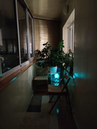 Potted plants on table by window in building