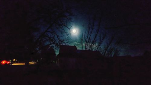 Illuminated bare trees against sky at night