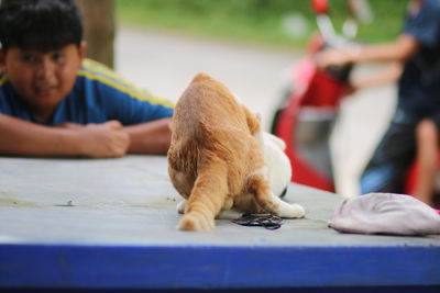 Full length of a boy with cat