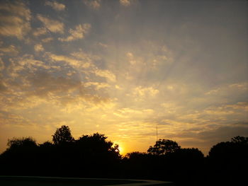 Silhouette of trees at sunset