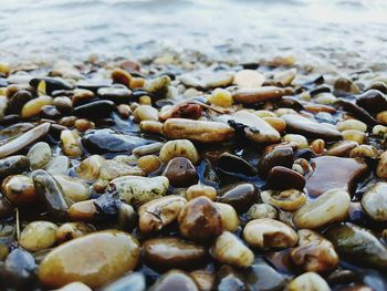 View of rocks on beach