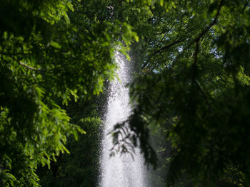 Scenic view of waterfall amidst trees in forest