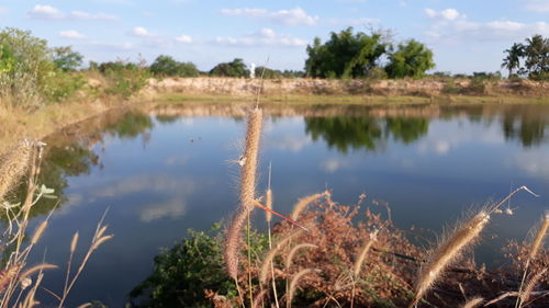 Scenic view of lake against sky