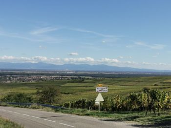 Road sign by trees against sky